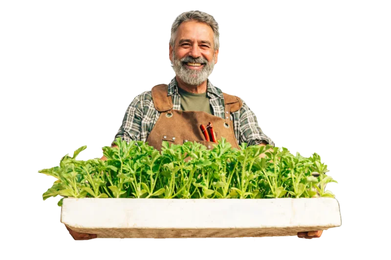 Farmer holding tray of fresh seedlings