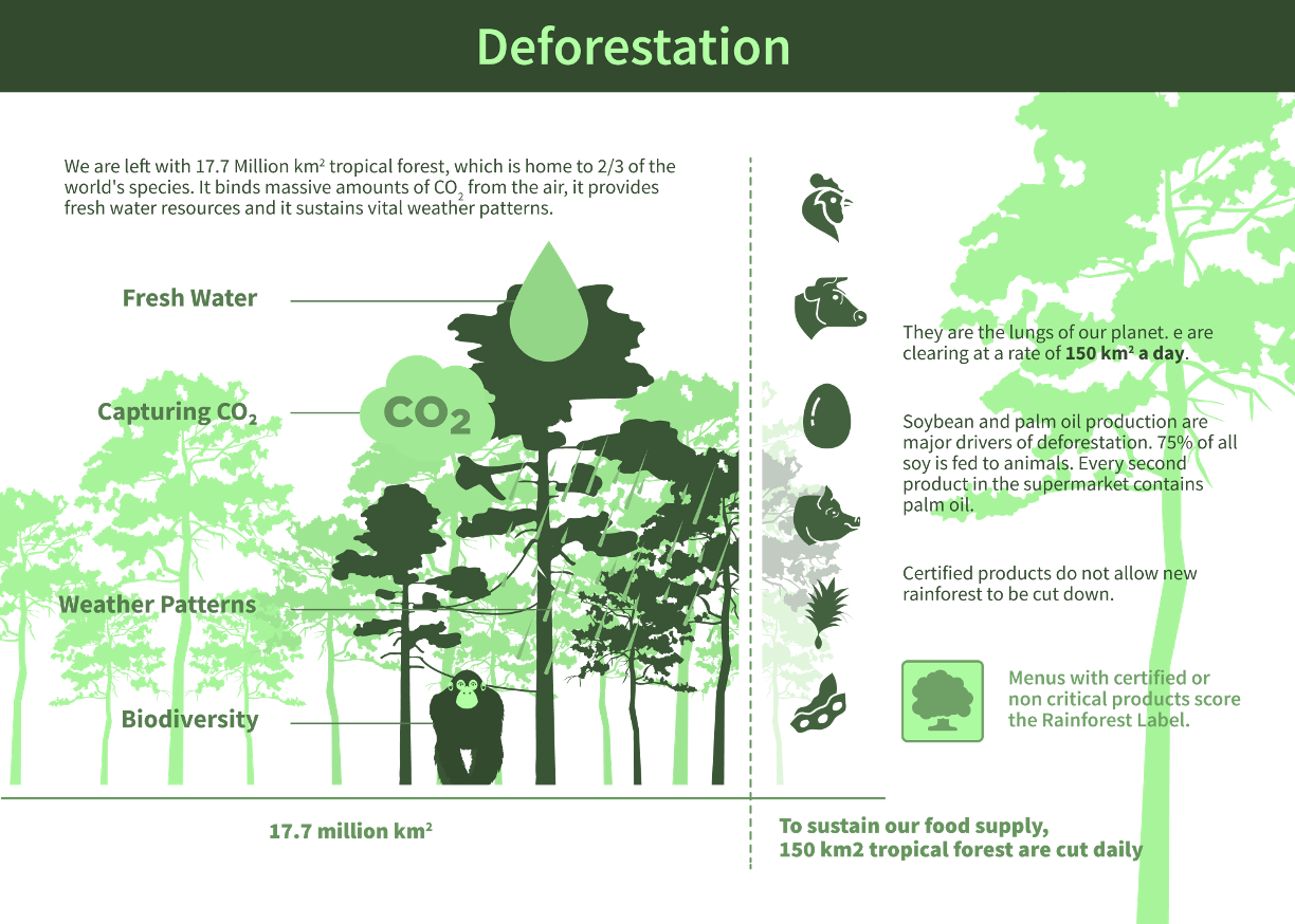 Rainforest deforestation impact chart