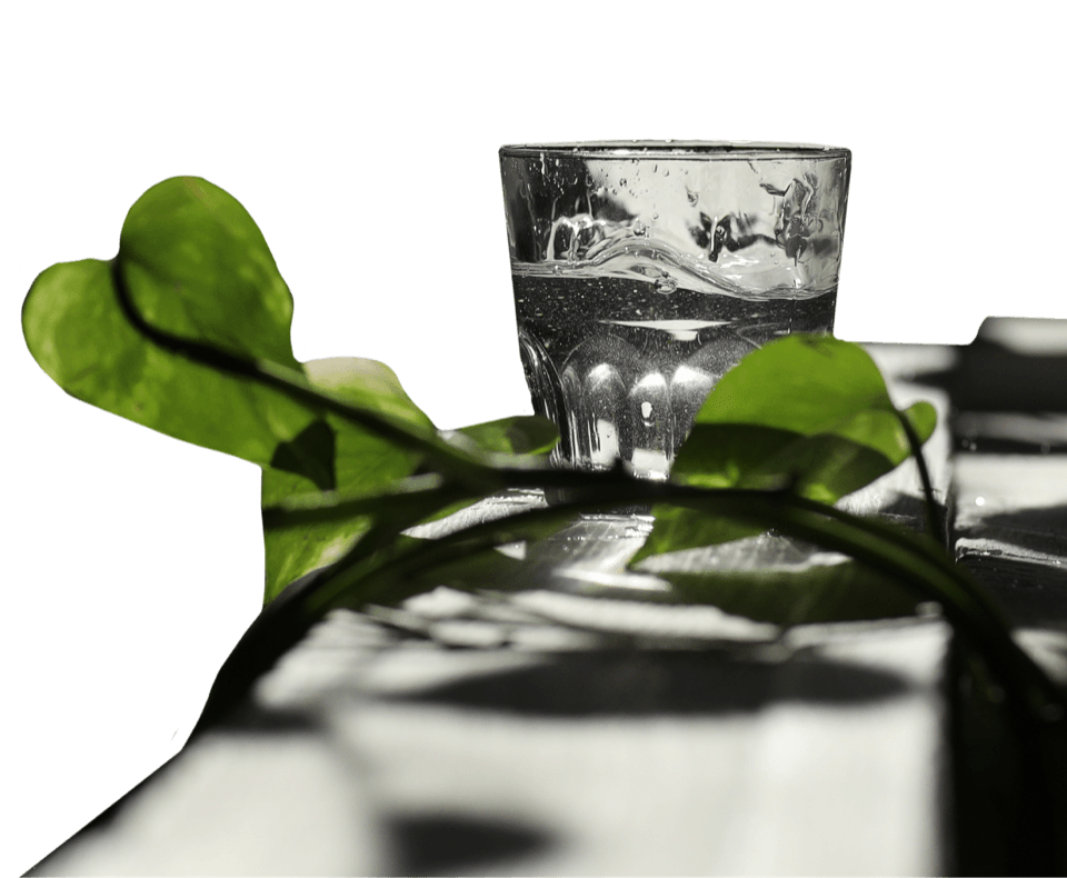 Water score visualization